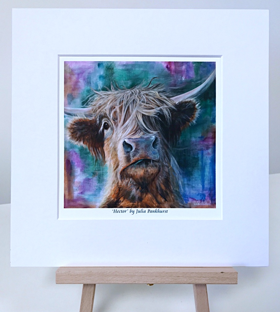 Hector Highland Cow Pankhurst Gallery