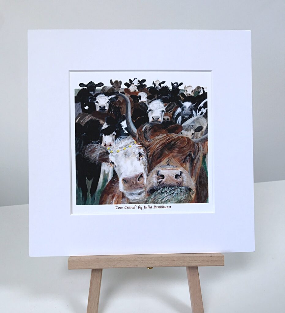 Cows, Highland Cows Pankhurst Gallery