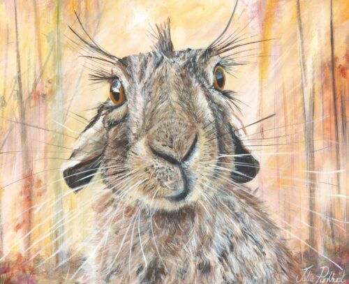 Harold, Hare Portrait