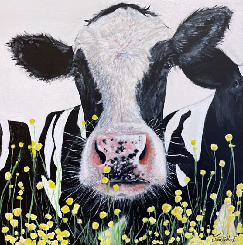 Buttercup Friesian Cow Painting Art Pankhurst Gallery