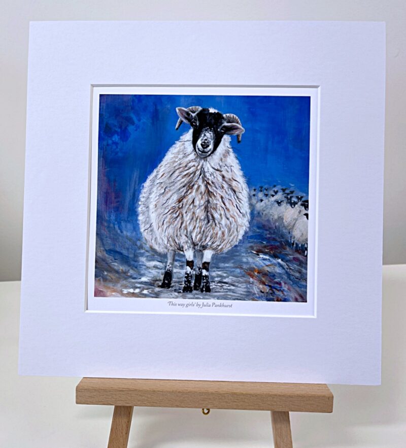 This Way Sheep Animal Art Gift Print Pankhurst Gallery