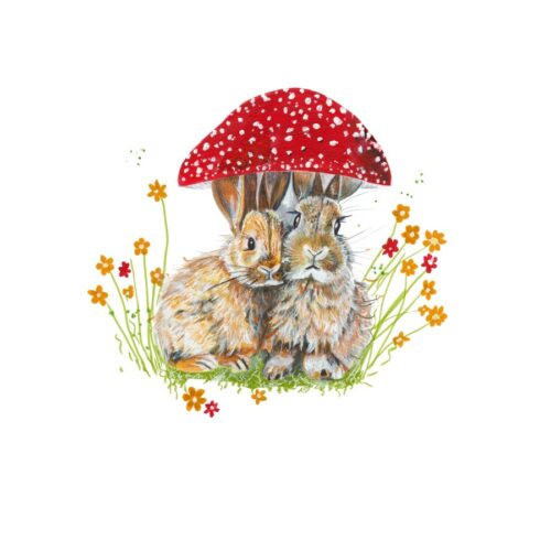 Dandelion Doodle Collection