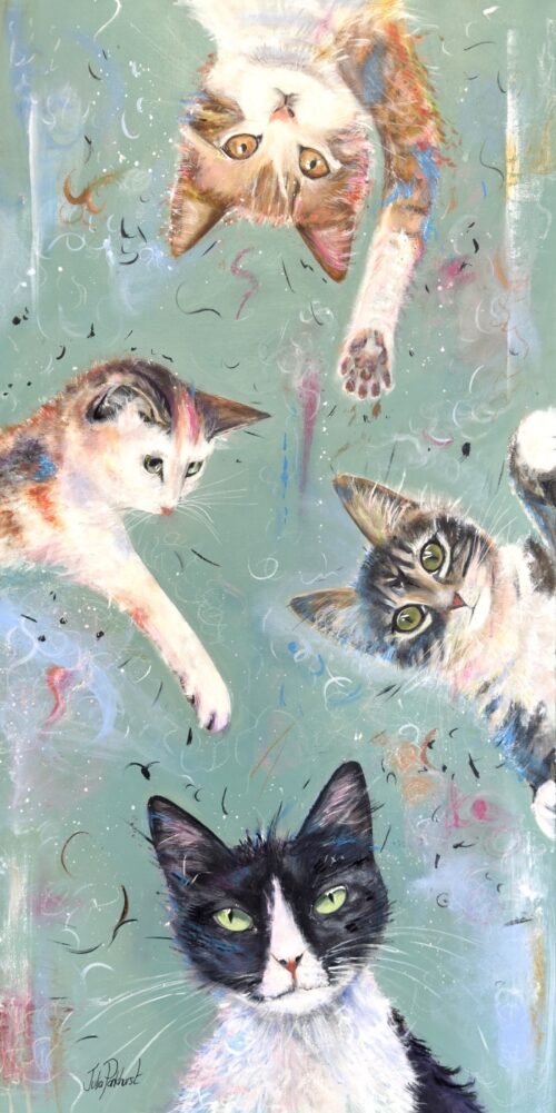 Cat Antics