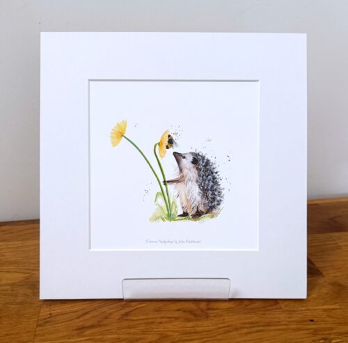 Inquisitive Hedgehog with Bee MINI PRINT