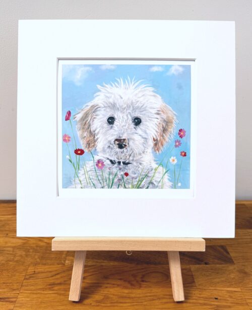 Kip - white cockapoo MINI PRINT