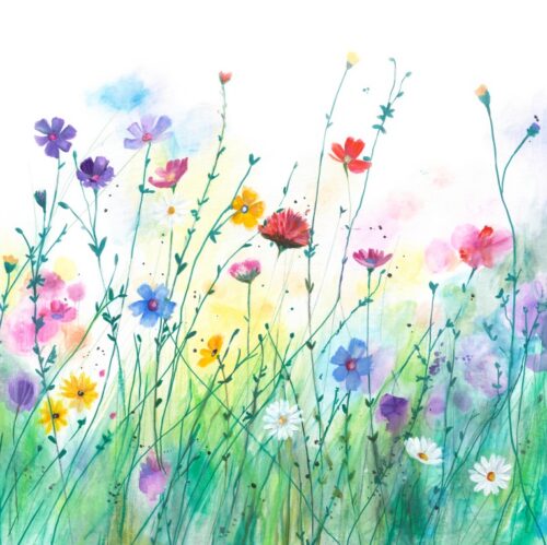 Confetti Meadow