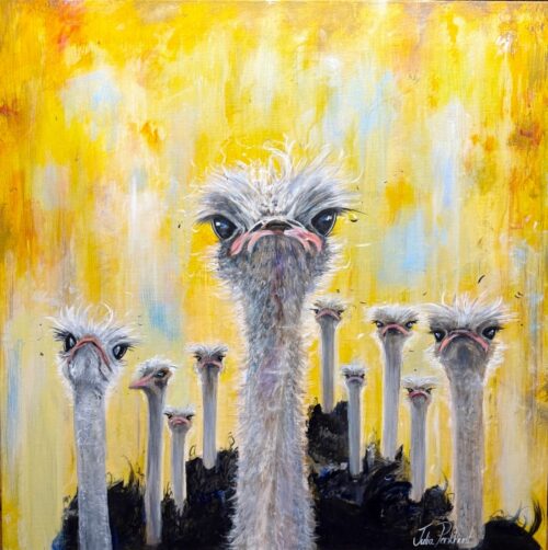 The Intervention - Ostrich's